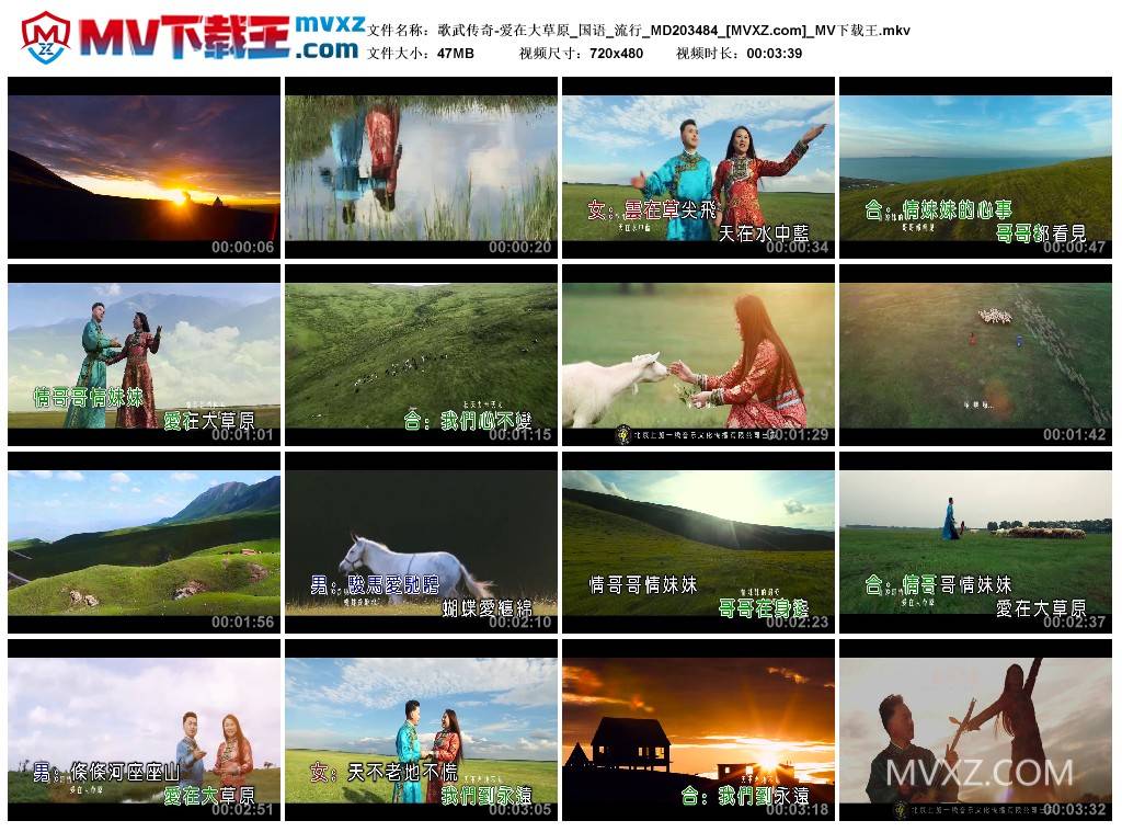 歌武传奇-爱在大草原_国语_流行_MD203484